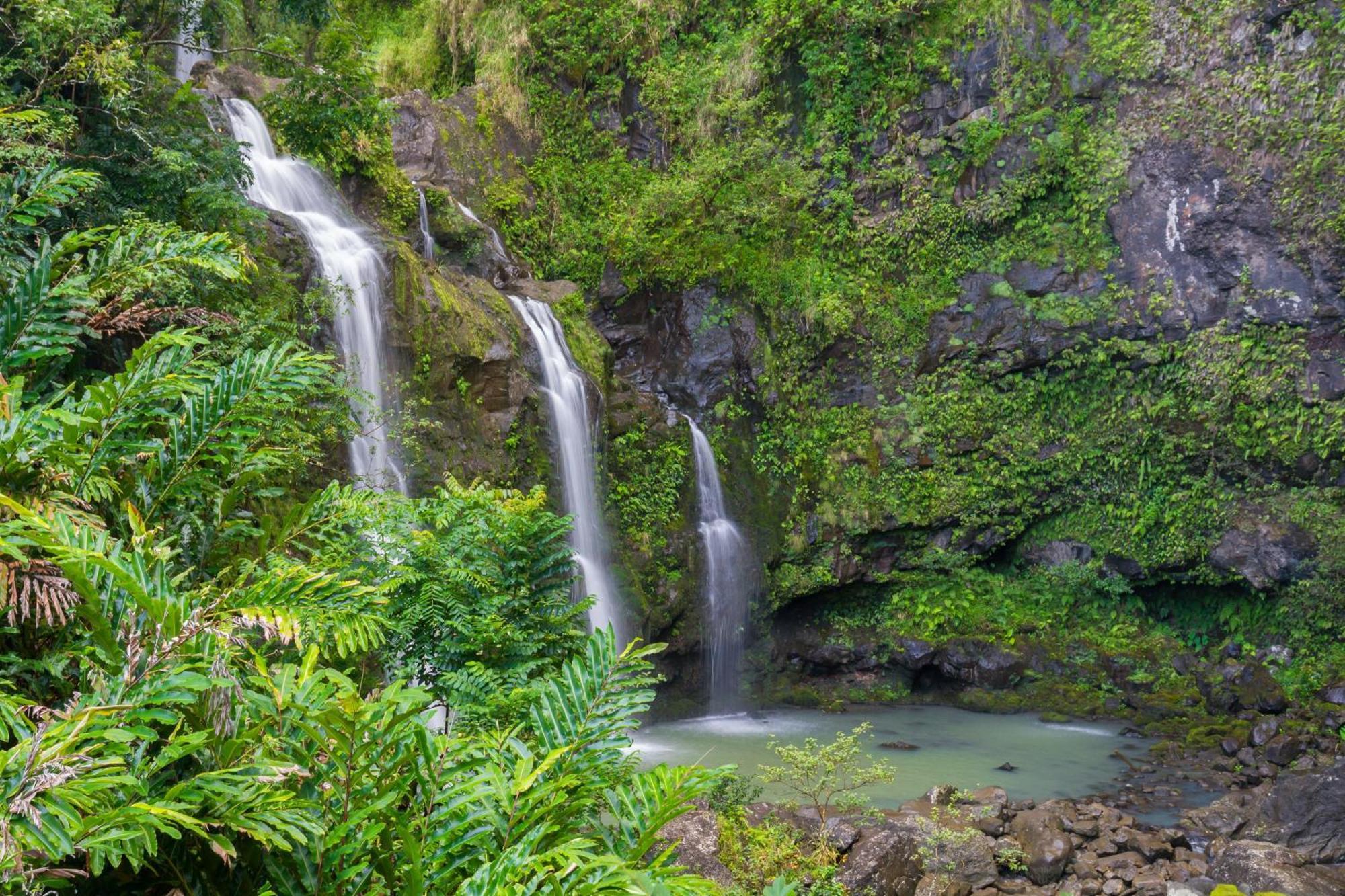 Kulakane 304 Kahana Buitenkant foto